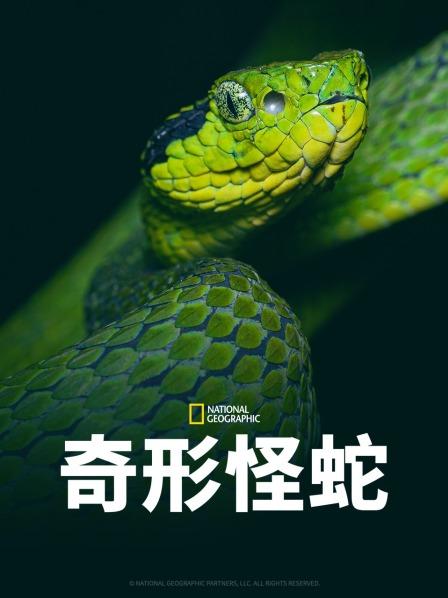 含羞草影院《奇形怪蛇》免费在线观看