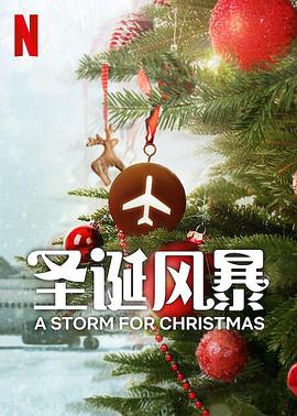 名媛直播《圣诞风暴》免费在线观看